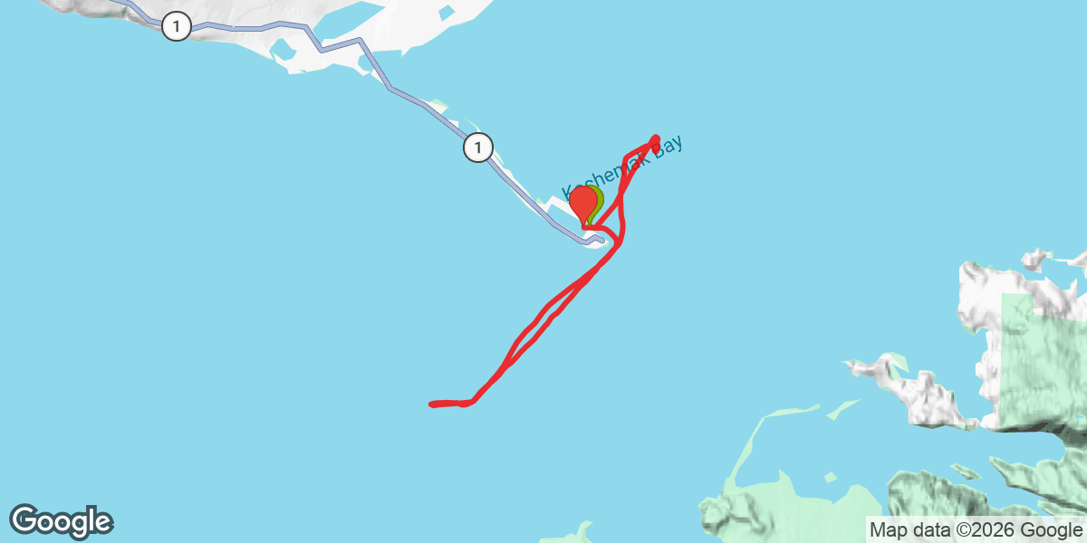 Trip map