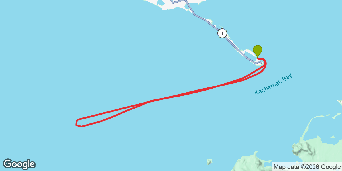 Trip map