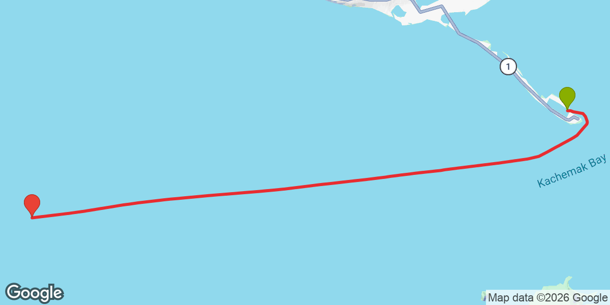 Trip map