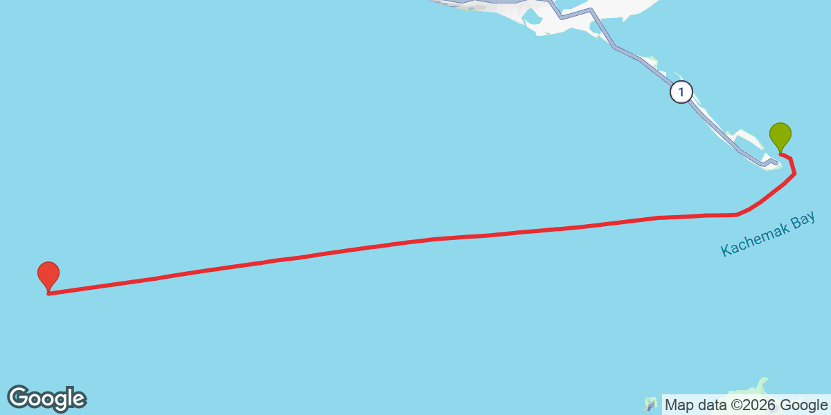 Trip map