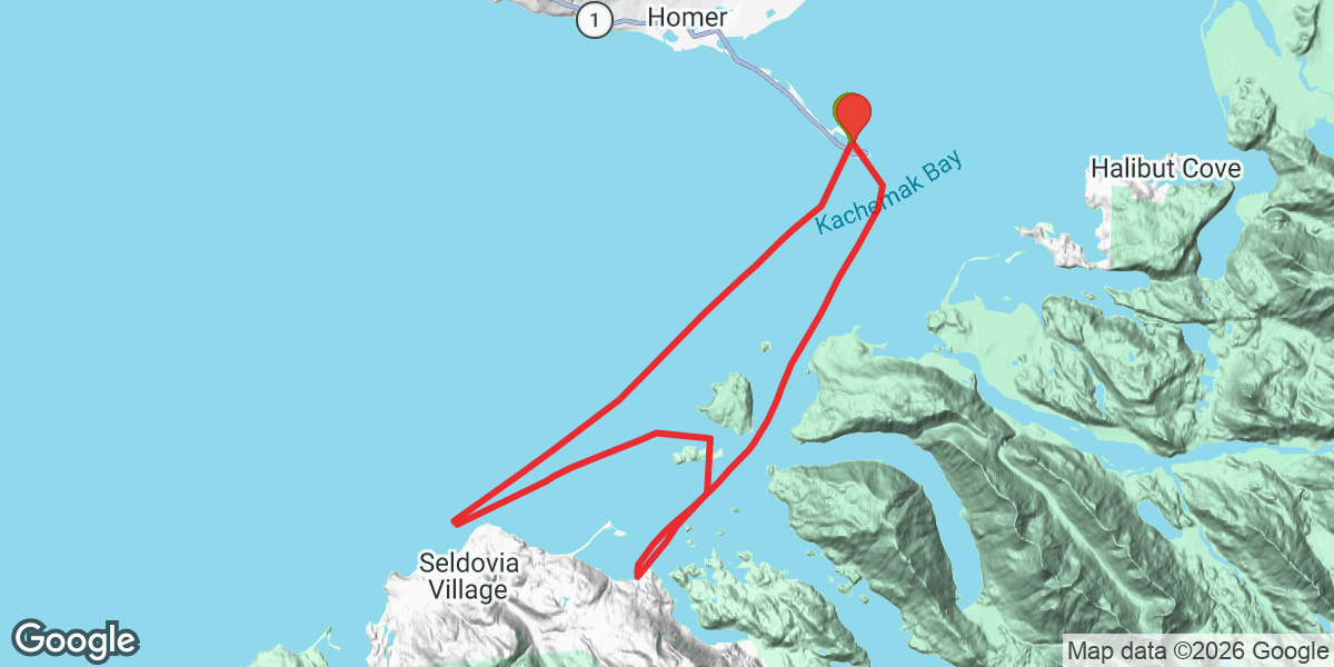 Trip map