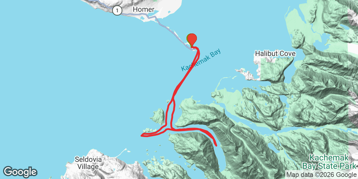 Trip map
