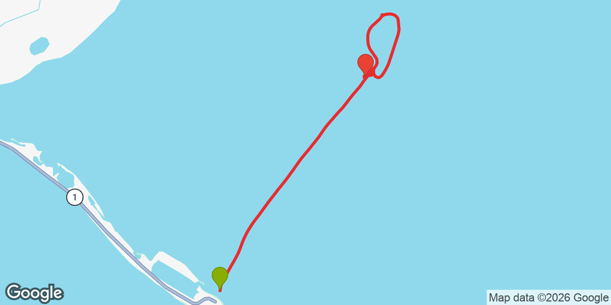 Trip map