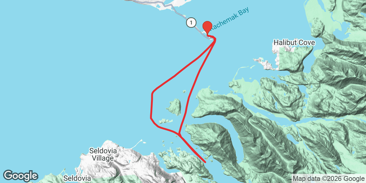 Trip map